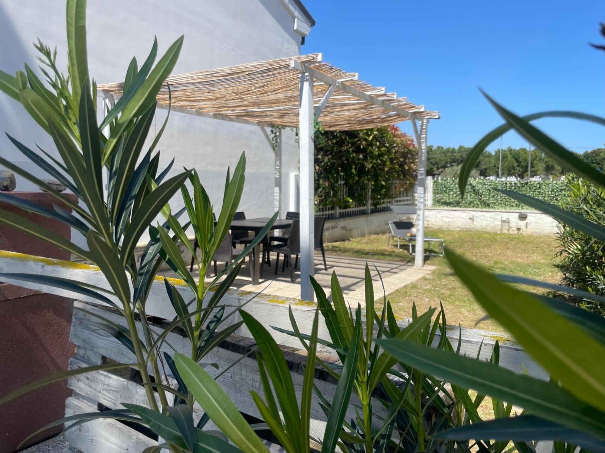 House - Sea Front- Narramondo