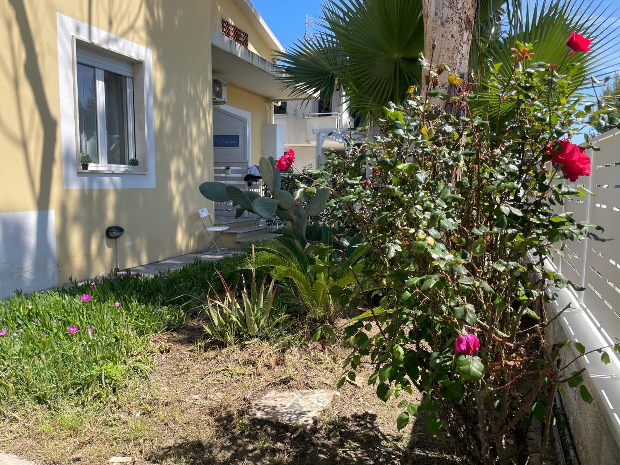 Ferienhaus House - Sea Front- Narramondo Giulianova